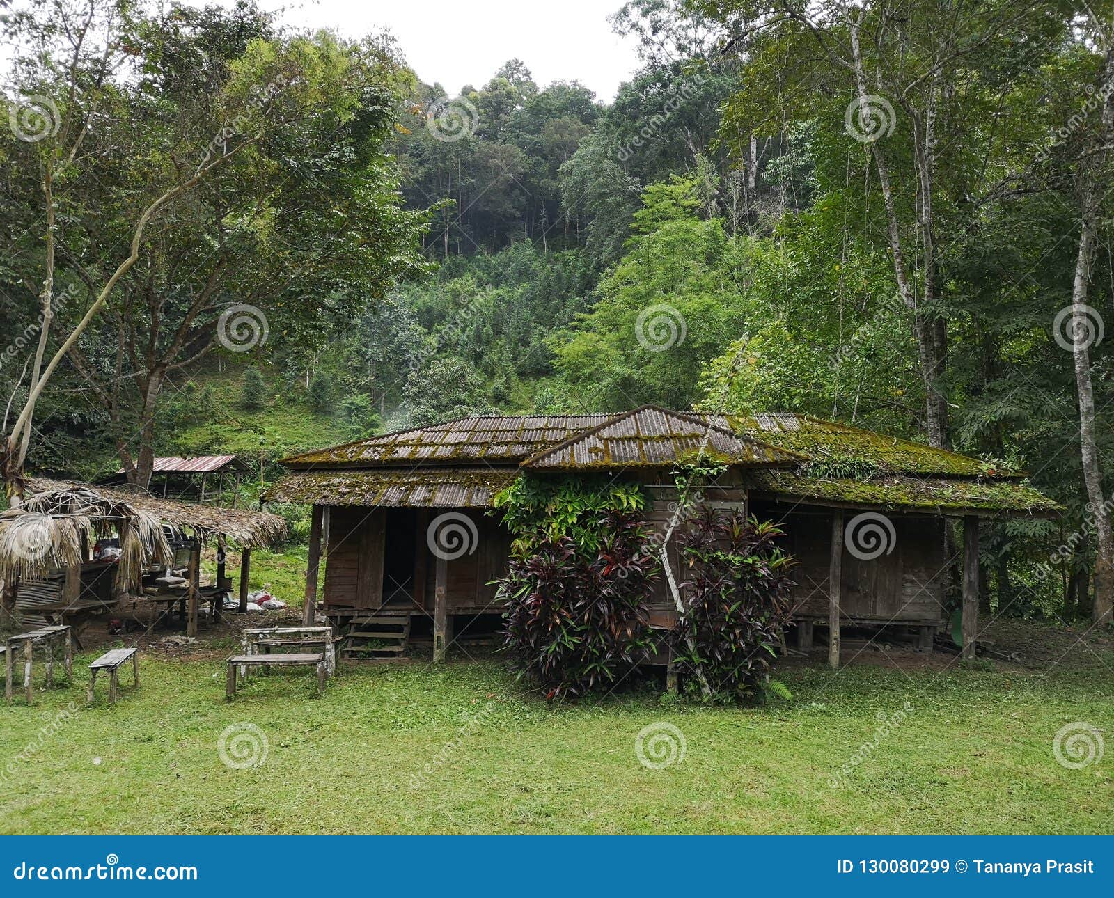 aÃ¢â¬â¹nÃ¢â¬â¹ oldÃ¢â¬â¹ publicÃ¢â¬â¹ schoolÃ¢â¬â¹ locatedÃ¢â¬â¹ inÃ¢â¬â¹ theÃ¢â¬â¹ middleÃ¢â¬â¹ ofÃ¢â¬â¹ aÃ¢â¬â¹ forest